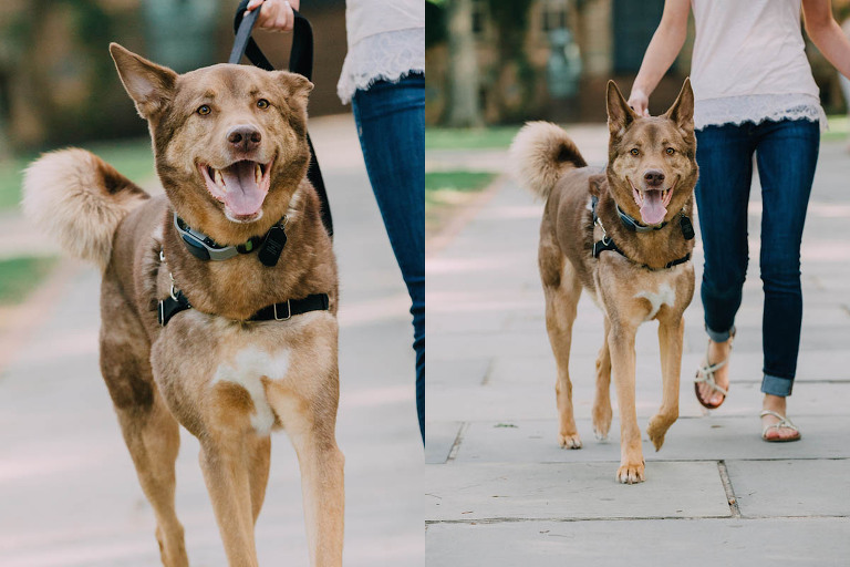 princeton_engagement_03